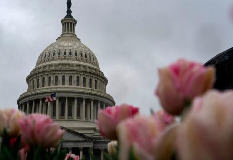 Artistic photo of the U.S. capital building